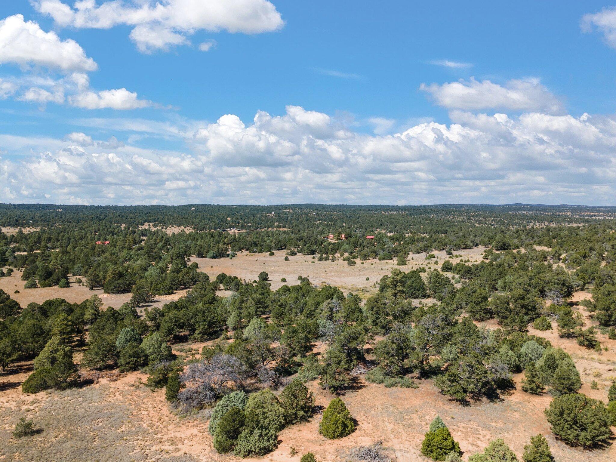 14 Cowboy Drive, Pie Town, New Mexico image 46