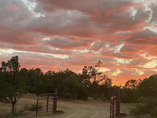 14 Cowboy Drive, Pie Town, New Mexico image 4