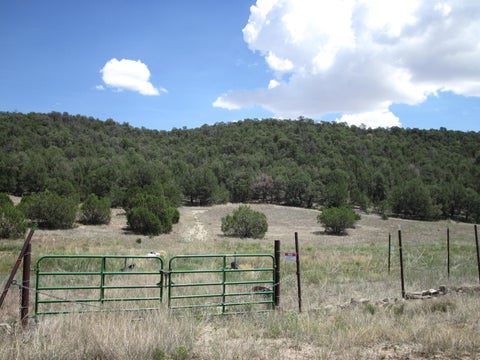 Vacant Land For Sale - 40 Pleasant  Valley Drive<br/> Torrance County, Edgewood, NM 87015