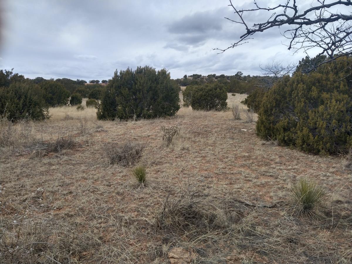 Tract 3 Bridle Path Loop, Mountainair, New Mexico image 9