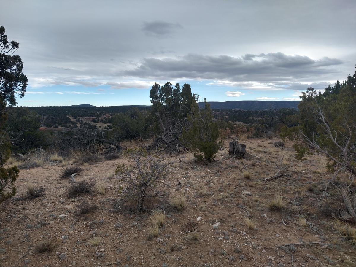 Tract 3 Bridle Path Loop, Mountainair, New Mexico image 3