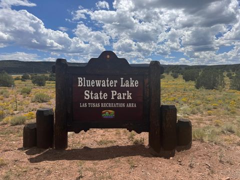 Homes For Sale - 4 Bass Road<br/> Thoreau, NM 87323