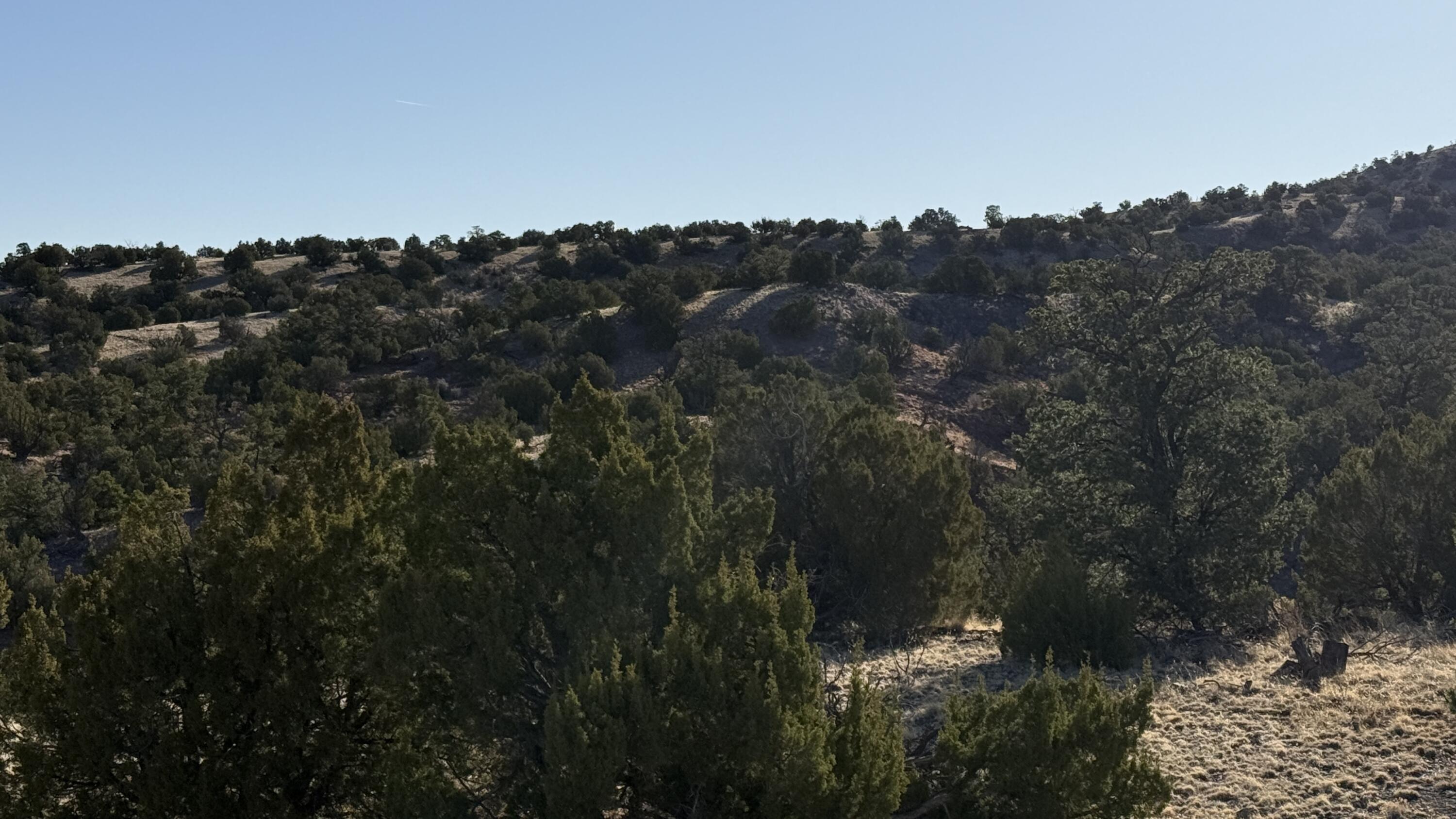 Lot 21 Pinon Springs Ranch, Magdalena, New Mexico image 14