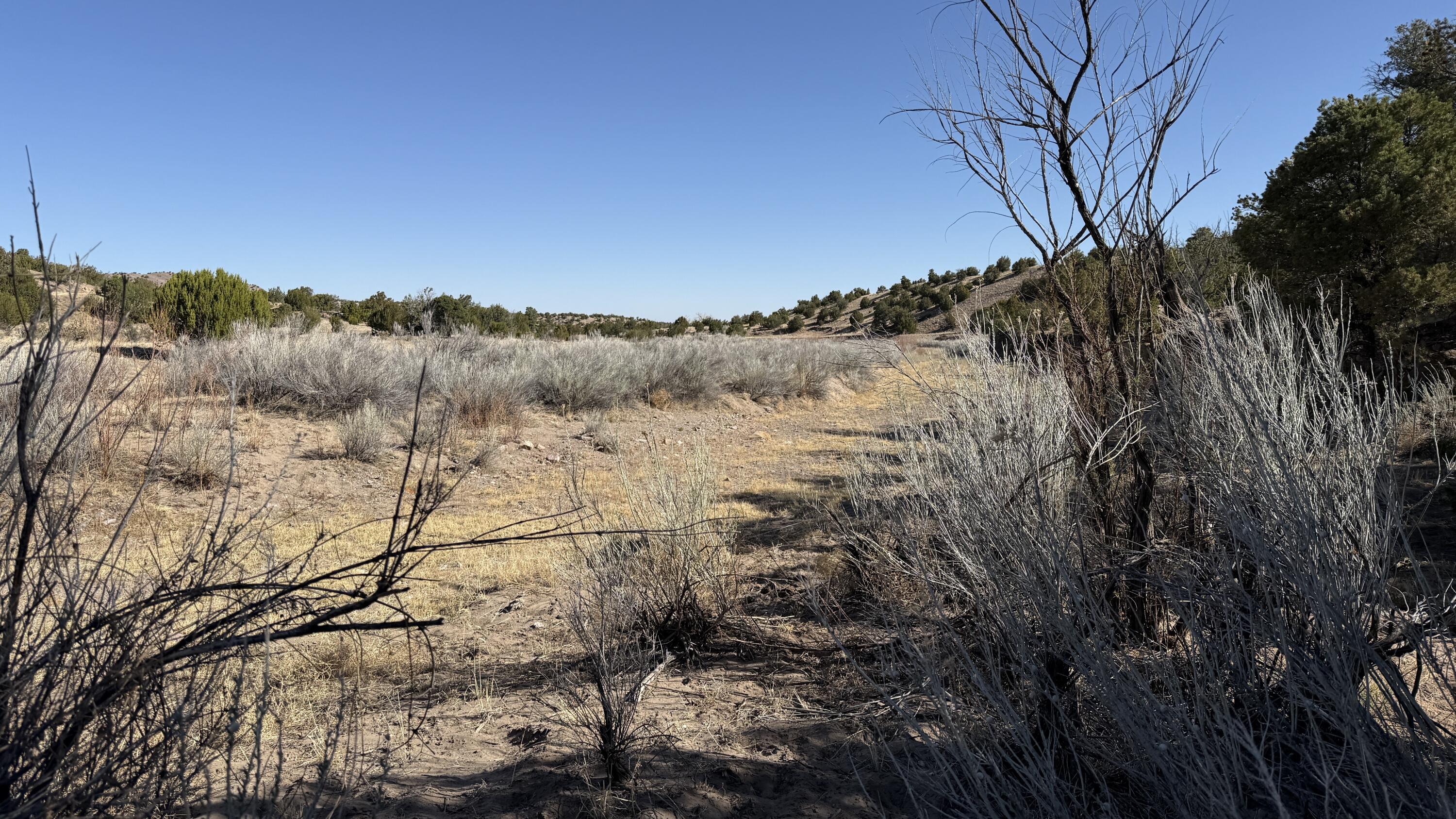Lot 21 Pinon Springs Ranch, Magdalena, New Mexico image 8