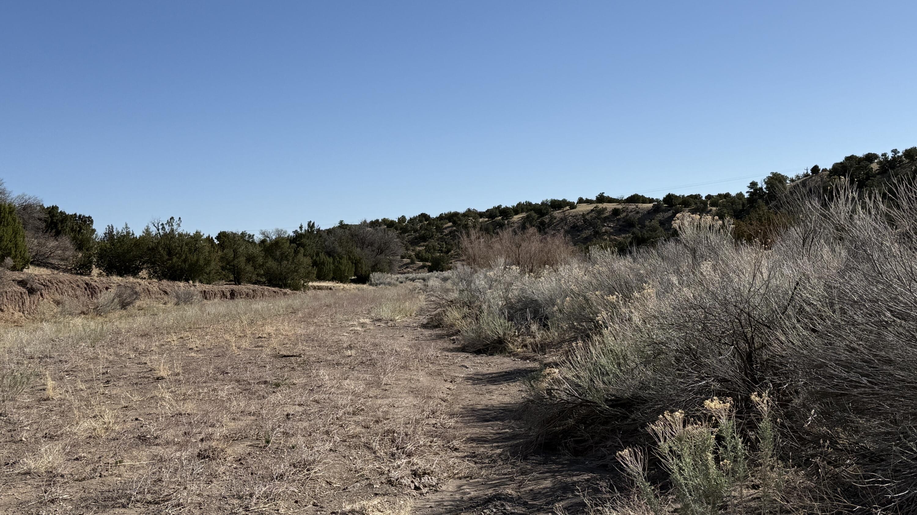 Lot 21 Pinon Springs Ranch, Magdalena, New Mexico image 10