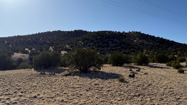 21 PINON SPRINGS RD, MAGDALENA, NM 87825 - Image b63da285fd1275d49ce97eff405701cf/4204555819
