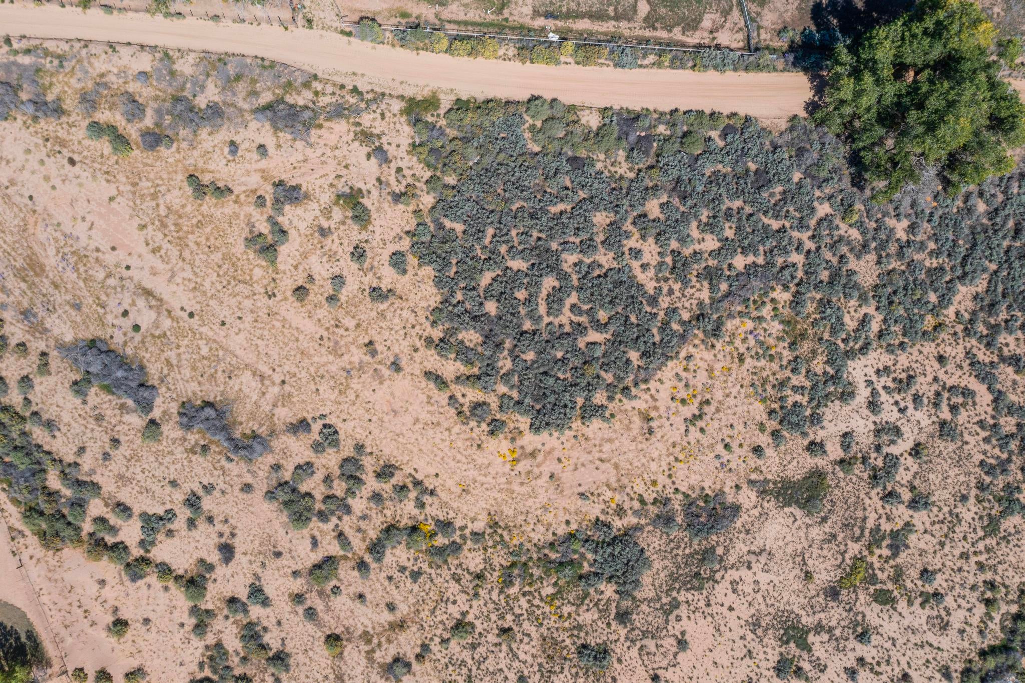 00064 La Ladera Estates-vacant land Road