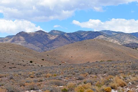 Photo of Lot 7 Painted Horse Road, San Antonio, NM 87832 (MLS # 1102336)
