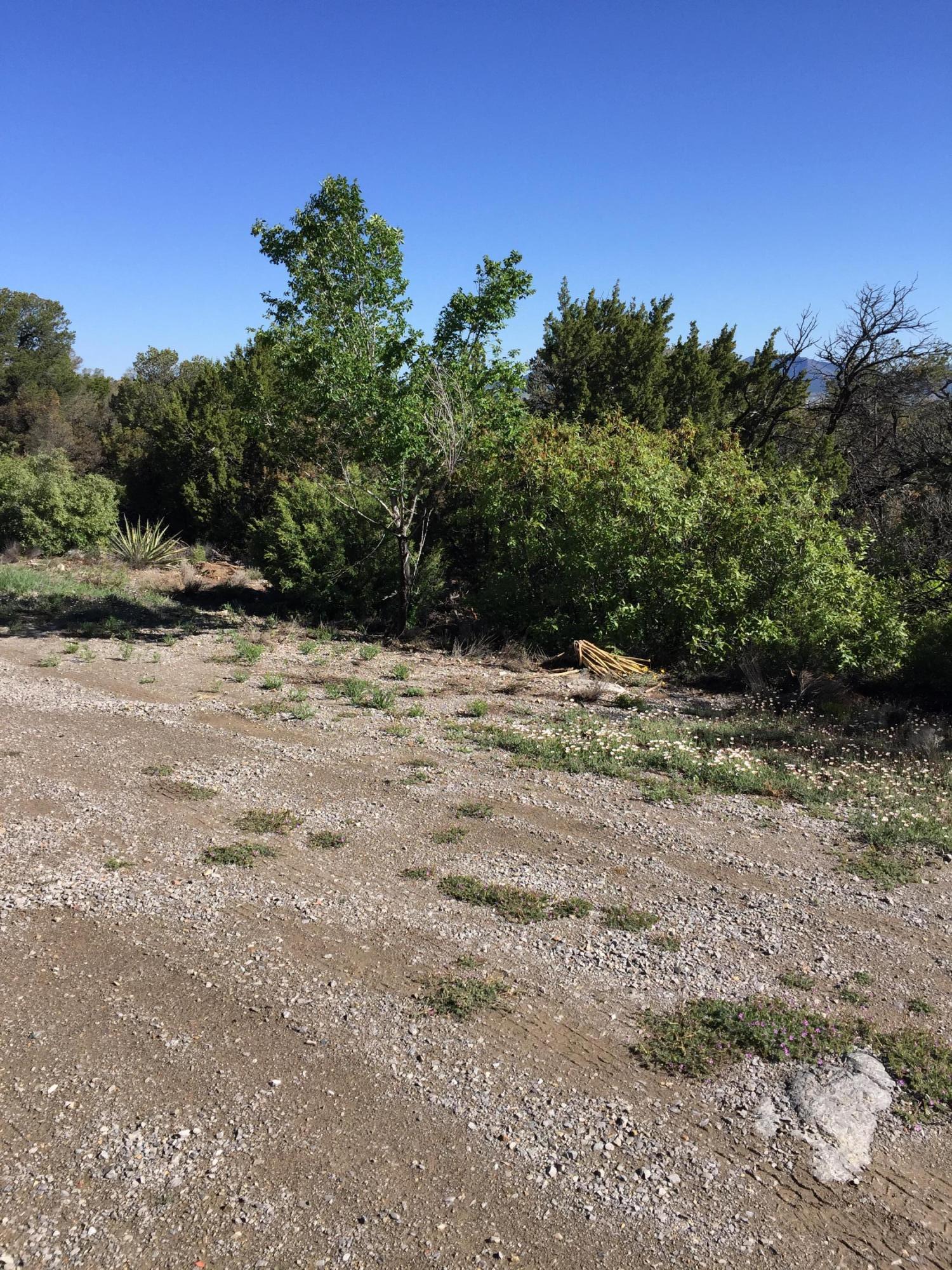 13 Las Nietas Court, Edgewood, New Mexico image 2