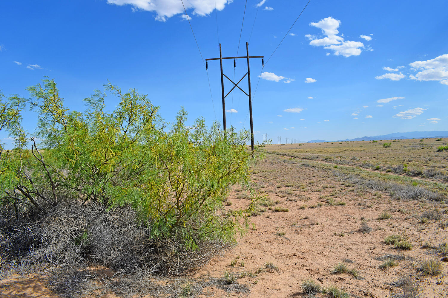 Lot 375 Rancho Rio Grande #4, Bosque, New Mexico image 1