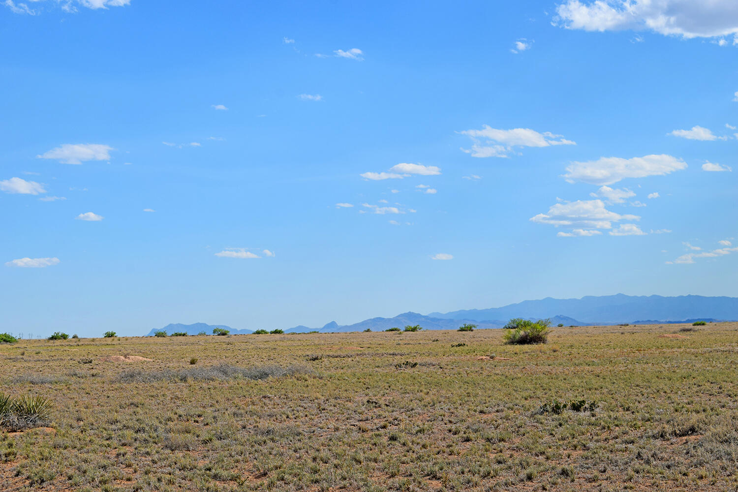 Lot 375 Rancho Rio Grande #4, Bosque, New Mexico image 26