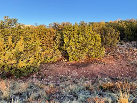 Vacant Land For Sale - 15 Tigua Drive<br/> Bernalillo County, Sandia Park, NM 87047