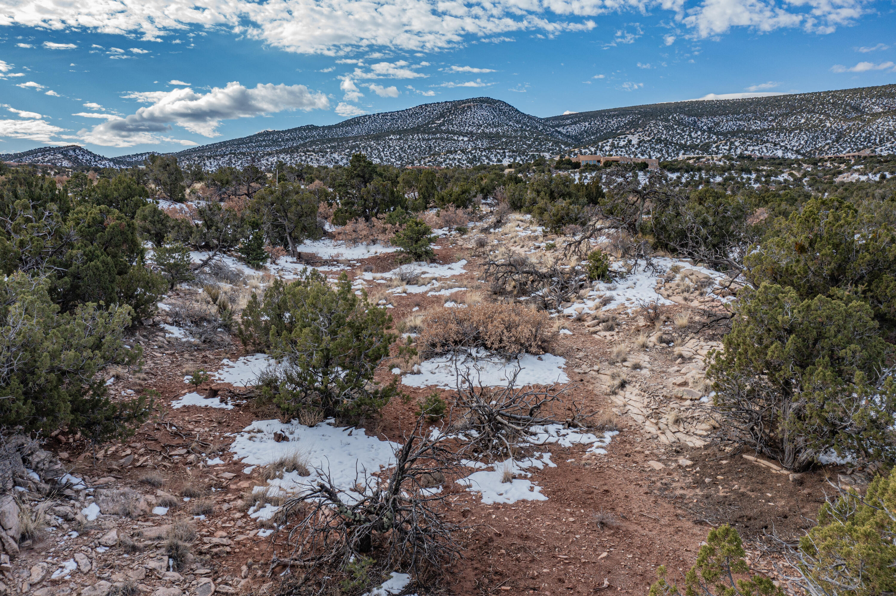 231 North Wild Primrose, Placitas, New Mexico image 13