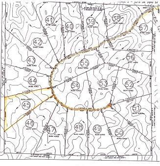 Lot 45 Pinon Springs, Magdalena, New Mexico image 14