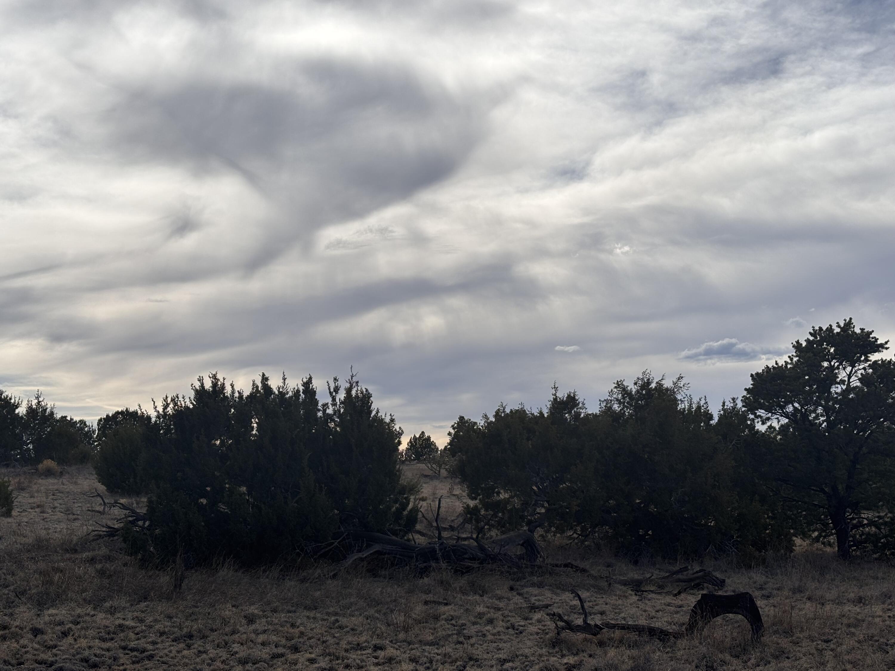 Lot 45 Pinon Springs, Magdalena, New Mexico image 12