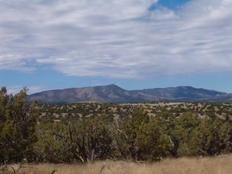 Lot 45 Pinon Springs, Magdalena, New Mexico image 1