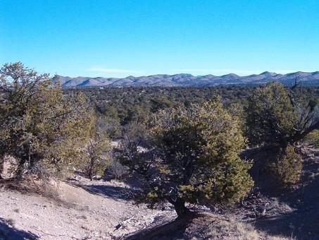 Lot 45 Pinon Springs, Magdalena, New Mexico image 2
