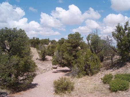 Lot 45 Pinon Springs, Magdalena, New Mexico image 3