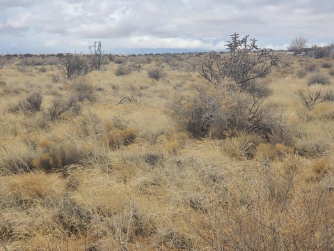 Vacant Land For Sale - LOT 34 14th Street<br/> Rio Rancho, NM 87124