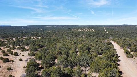 McComb Road Tract AA Edgewood NM 87015