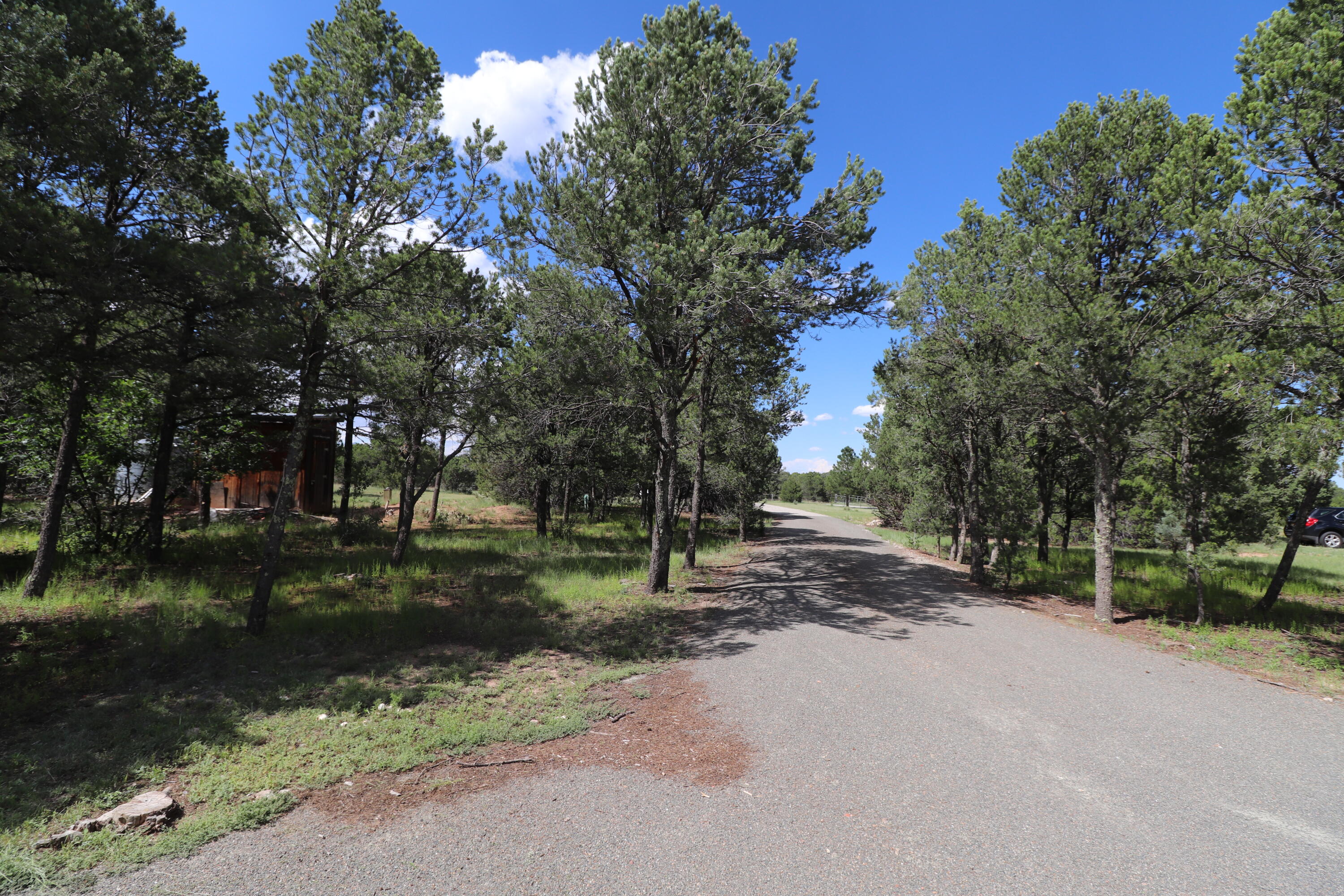 112 Ten Pines Road, Torreon, New Mexico image 25