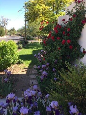 2723 Mcearl Avenue, Albuquerque, New Mexico image 49