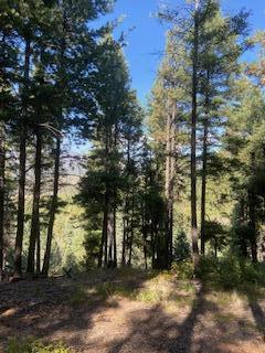 Los Griegos Lot 8-a Road, Jemez Springs, New Mexico image 4