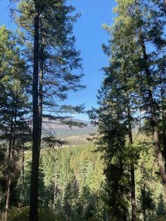 Los Griegos Lot 8-a Road, Jemez Springs, New Mexico image 1