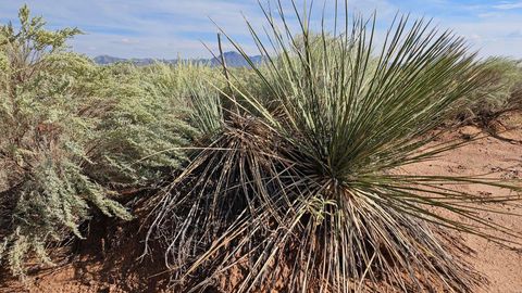 Vacant Land For Sale - VL Tierra Grande Lot 4 Block 11 #10<br/> Socorro, NM 87801