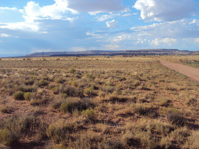 Fruta, Laguna, New Mexico image 7