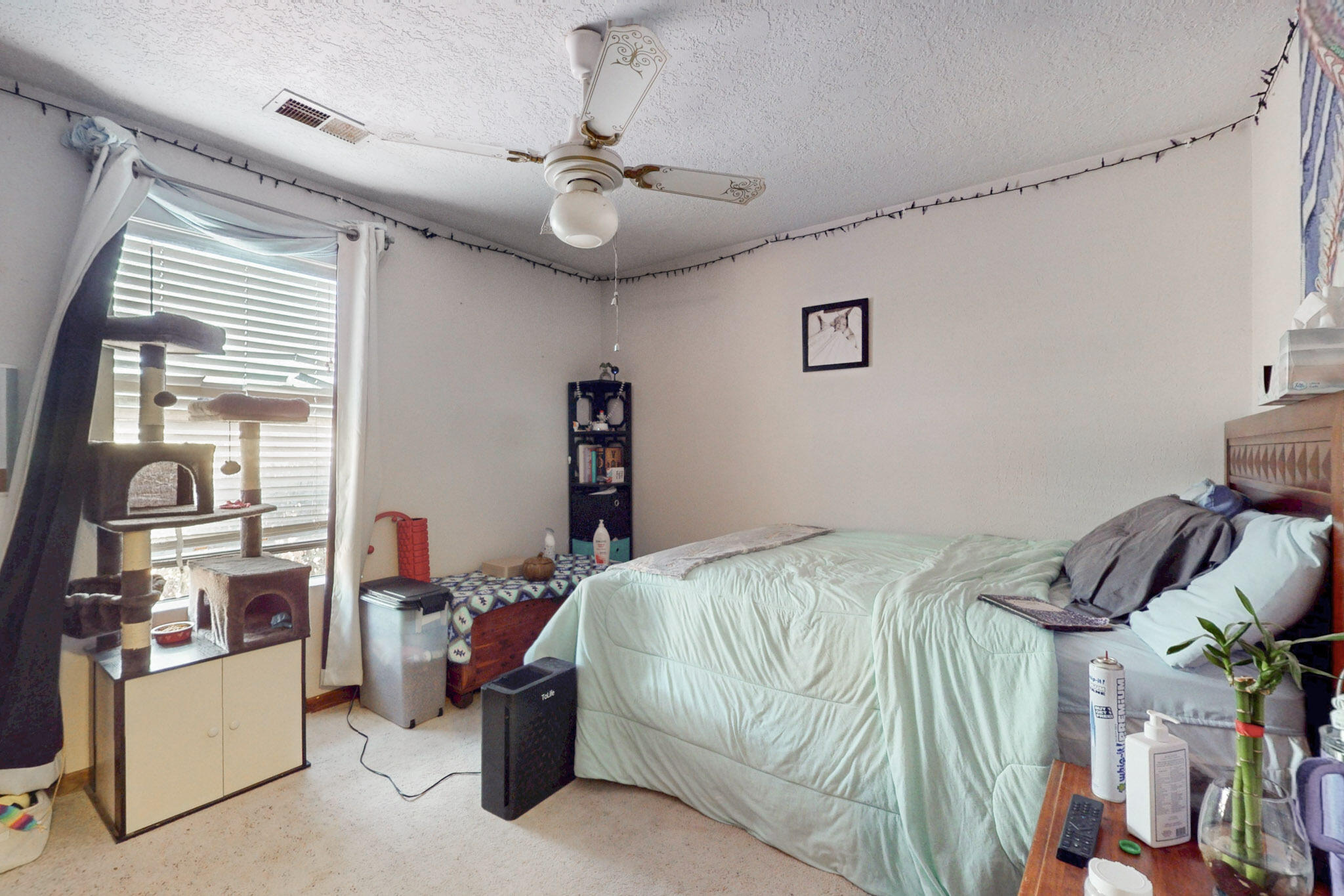 1246 Sugar Road, Rio Rancho, New Mexico image 23