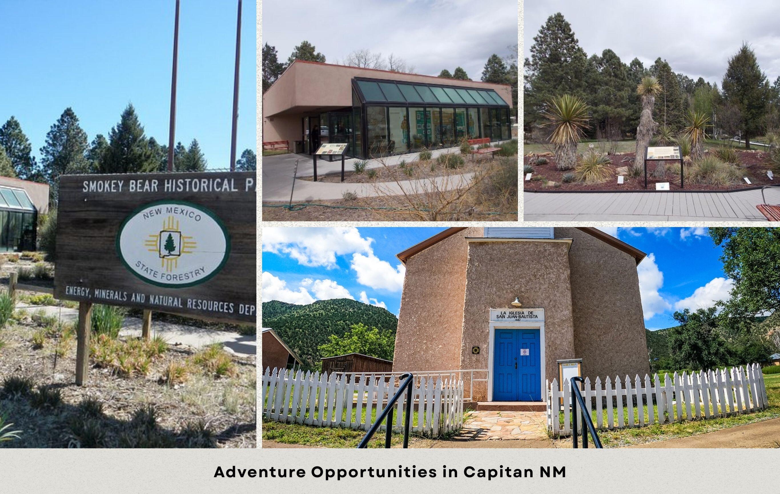 Wild Rose, Ruidoso, New Mexico image 19