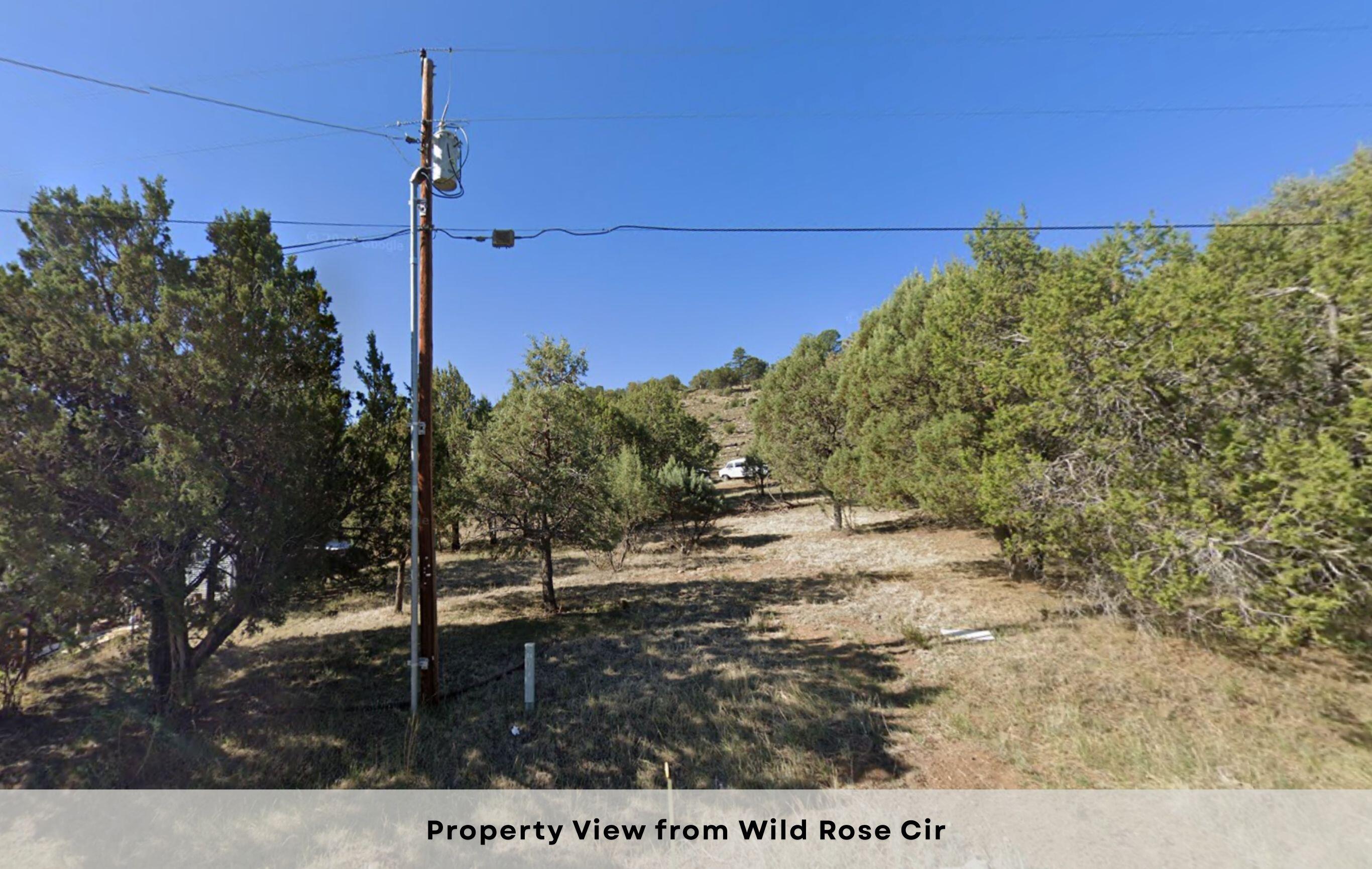 Wild Rose, Ruidoso, New Mexico image 16
