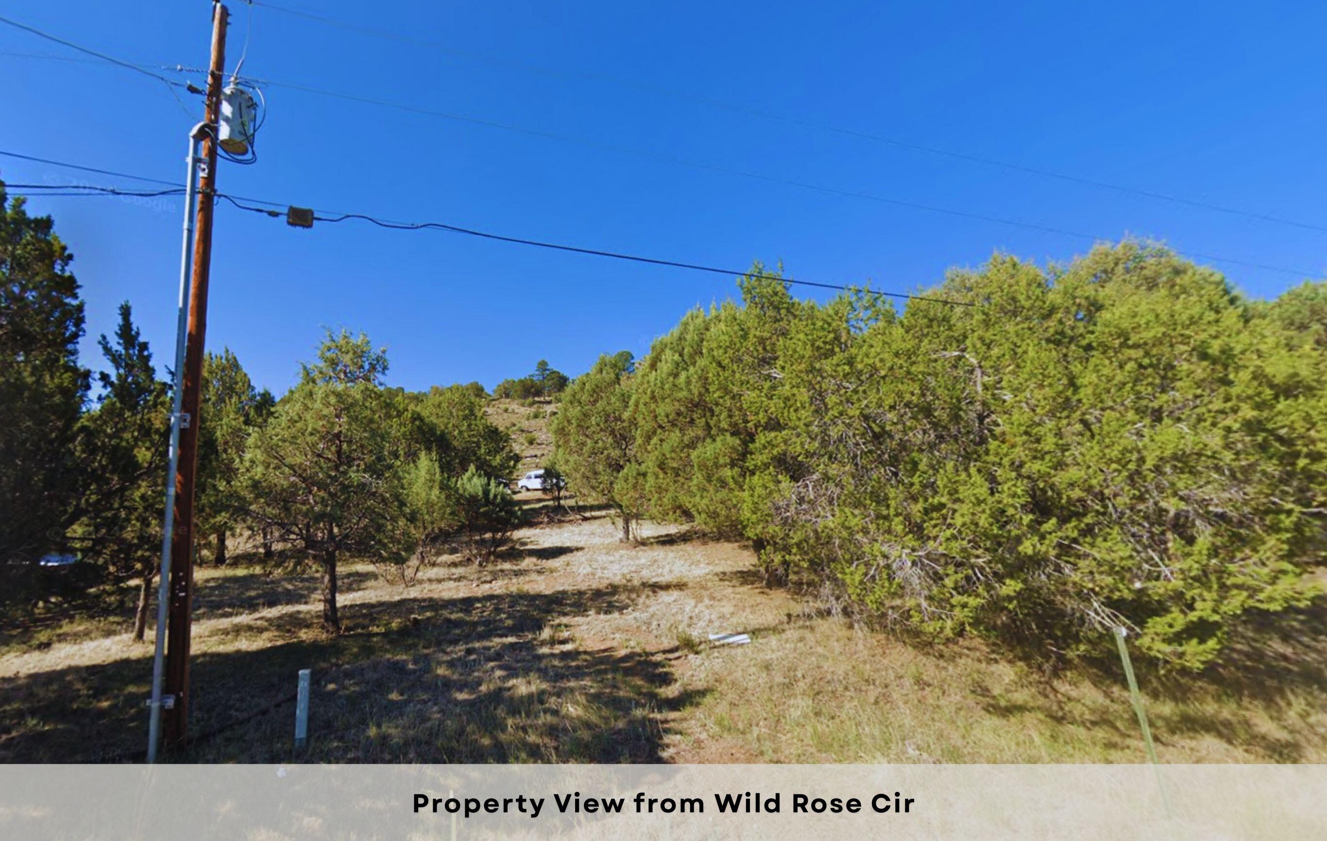 Wild Rose, Ruidoso, New Mexico image 15
