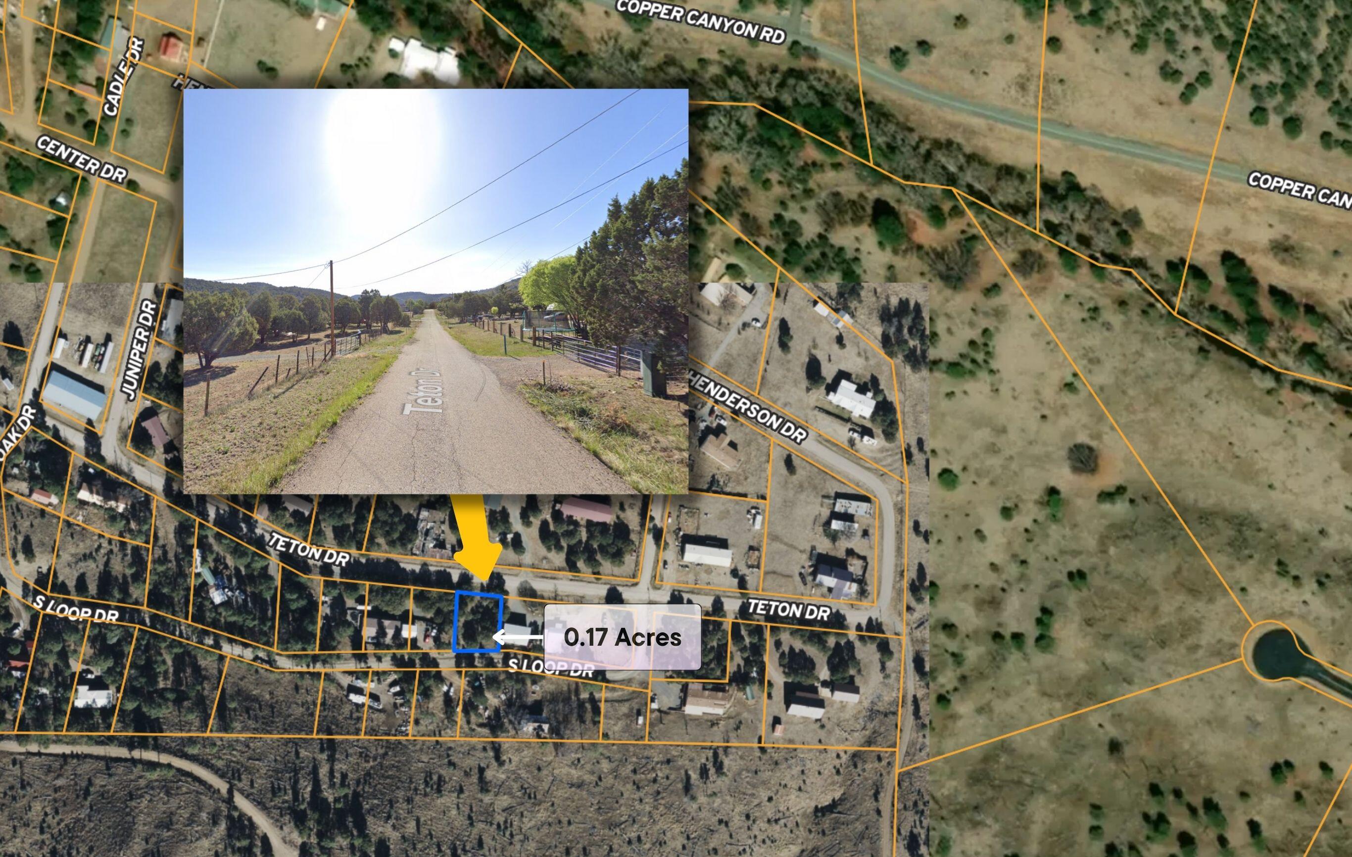 Wild Rose, Ruidoso, New Mexico image 14