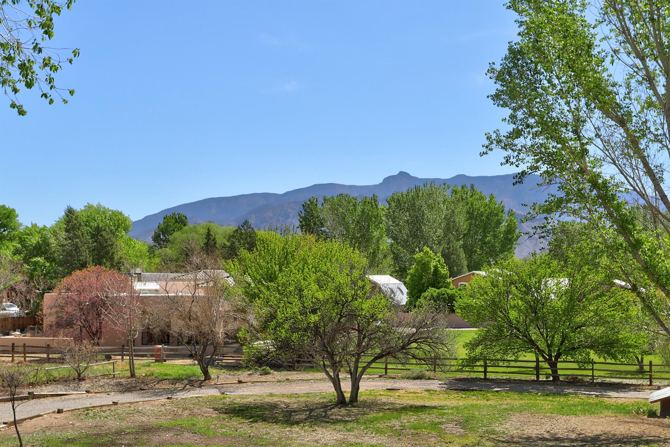 107 Rome Lane, Corrales, New Mexico image 2