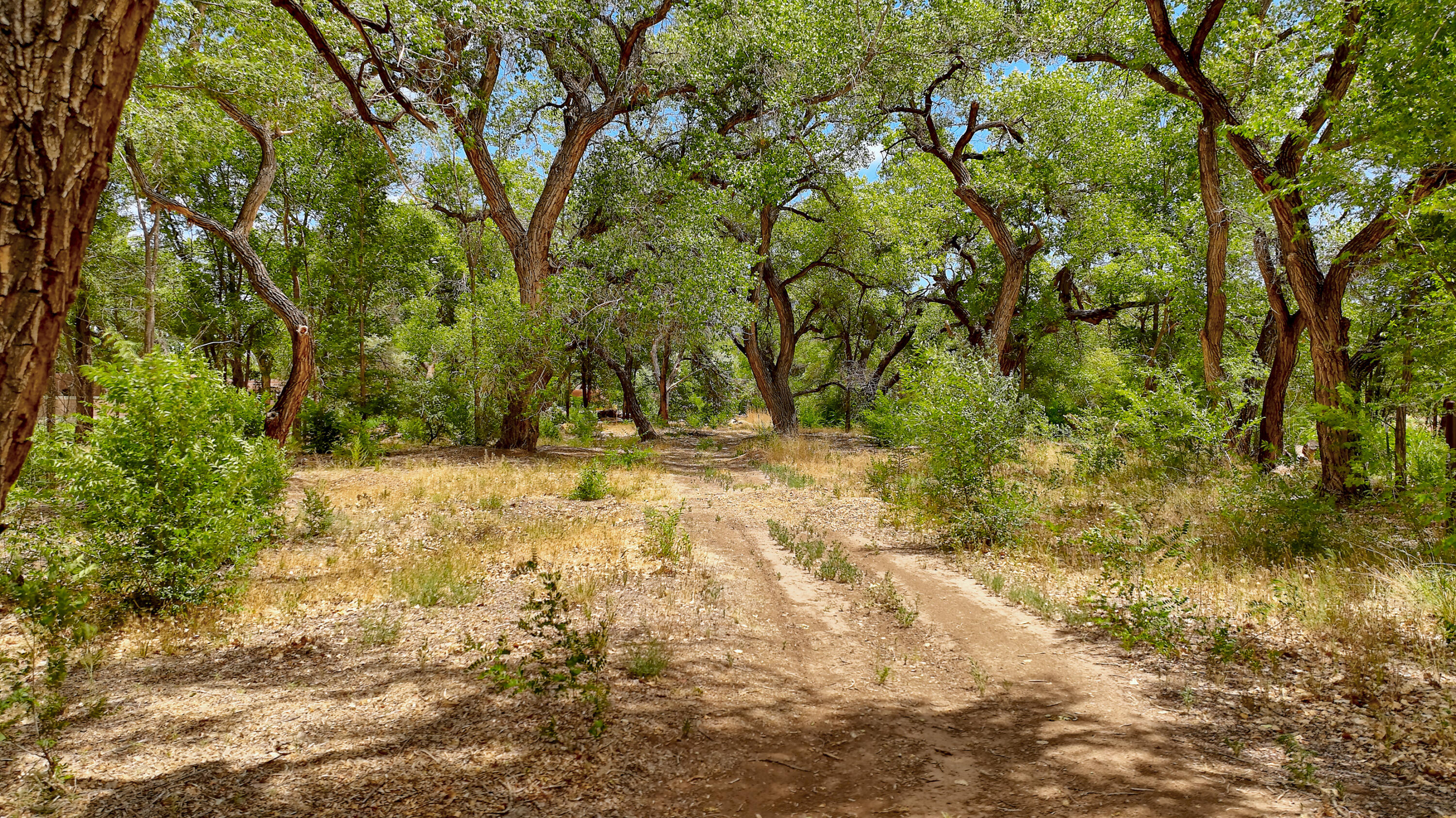 900 Sanchez Road, Corrales, New Mexico image 30