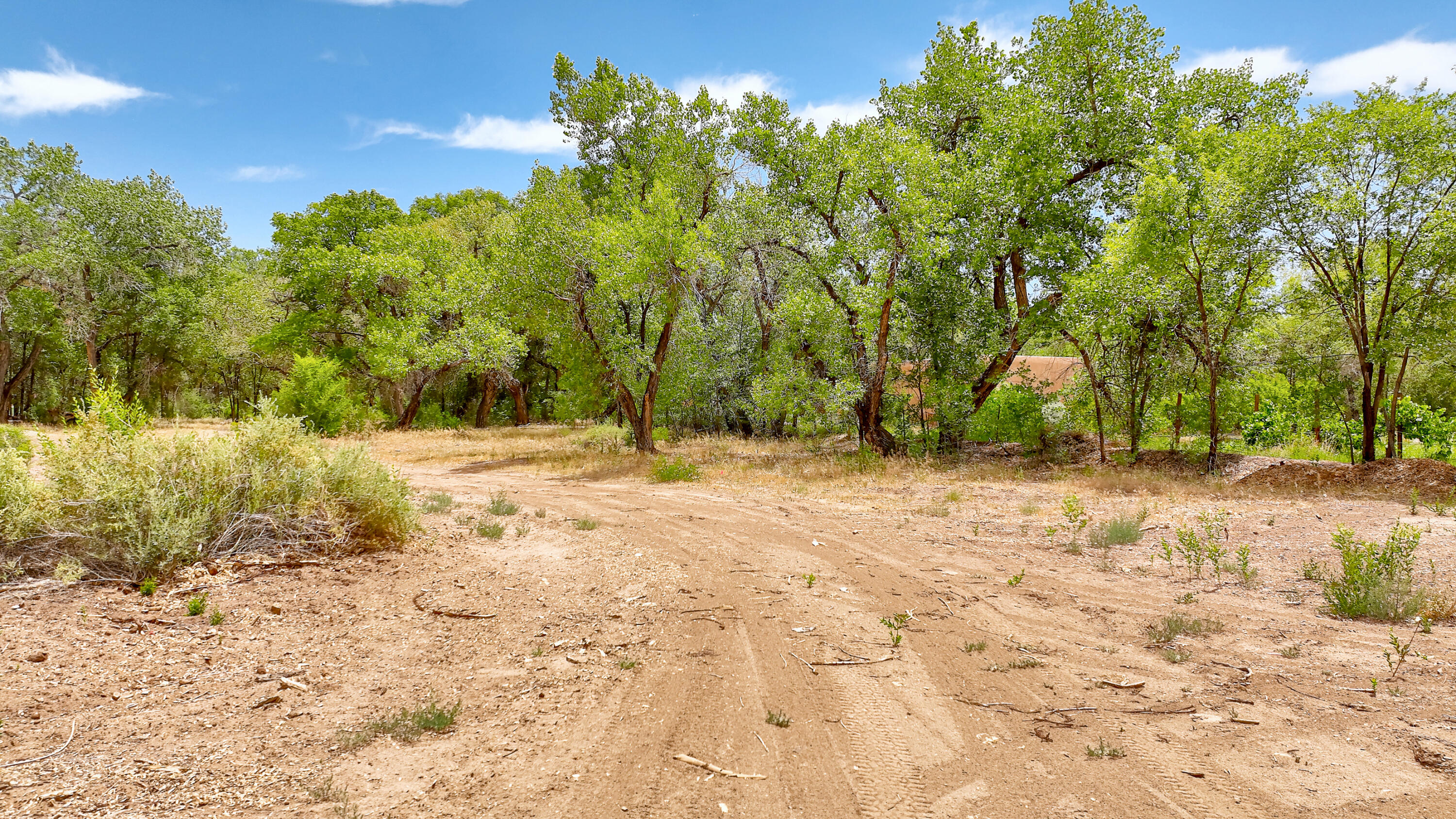 900 Sanchez Road, Corrales, New Mexico image 11