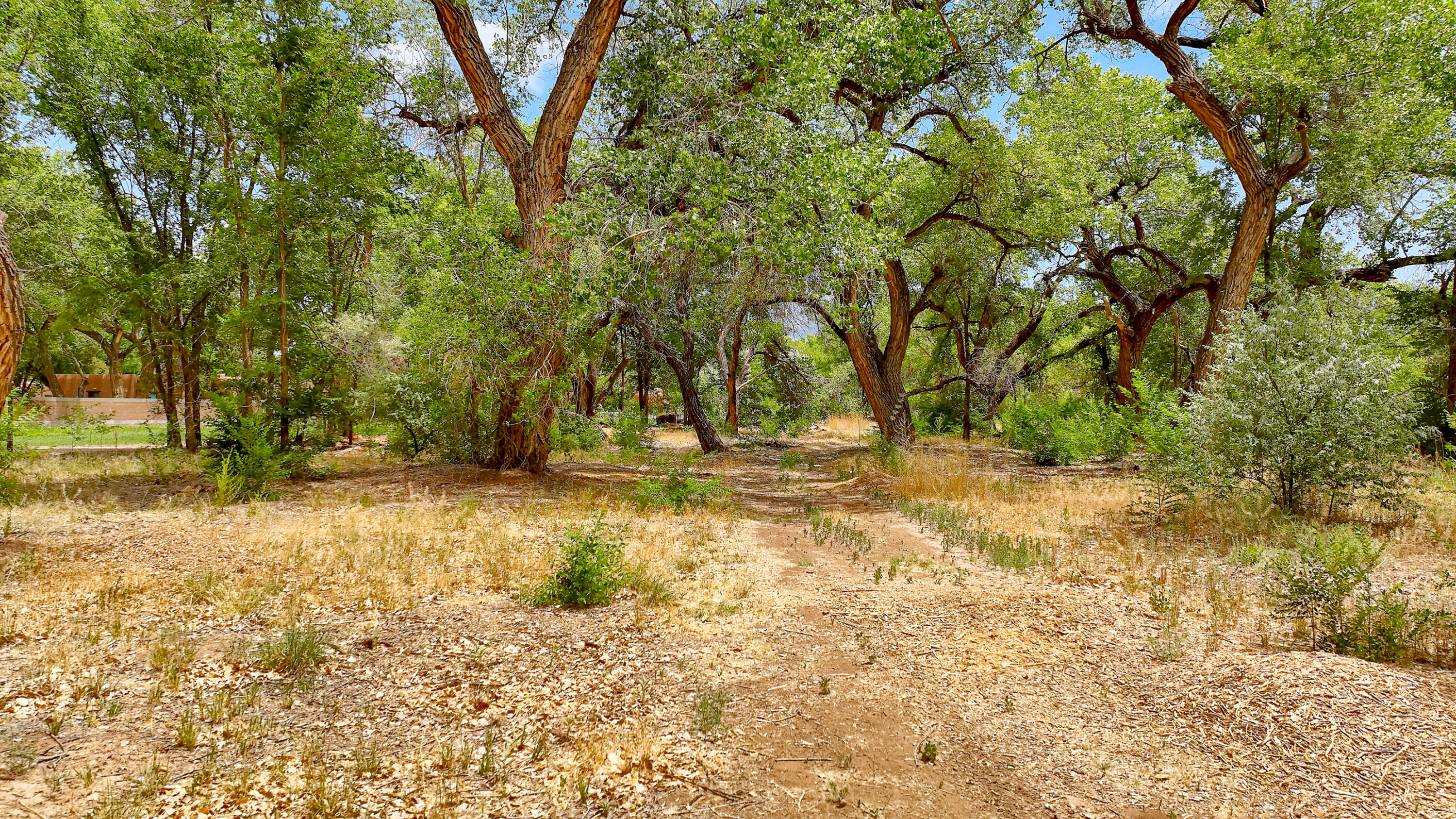 900 Sanchez Road, Corrales, New Mexico image 34