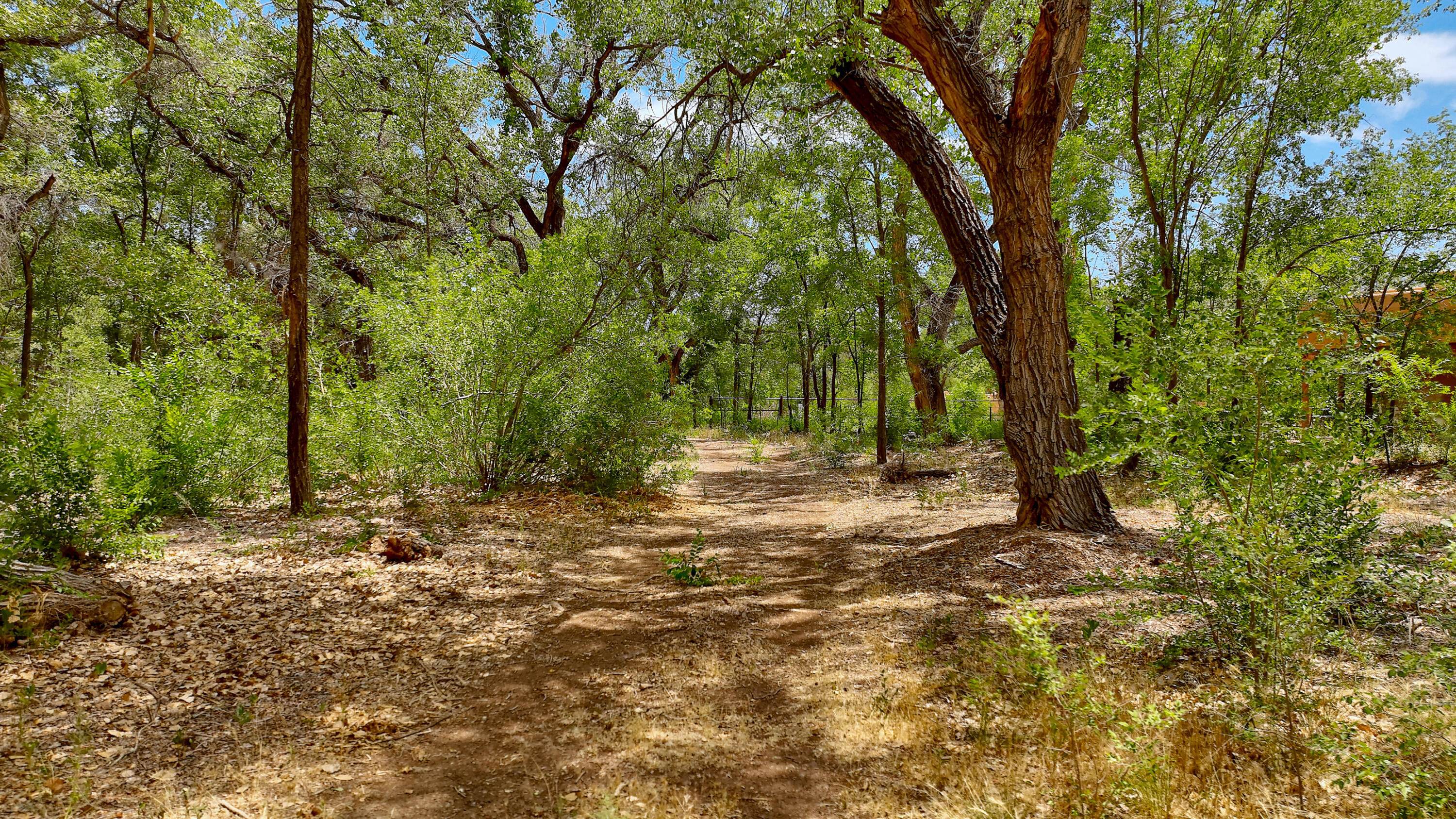 900 Sanchez Road, Corrales, New Mexico image 26