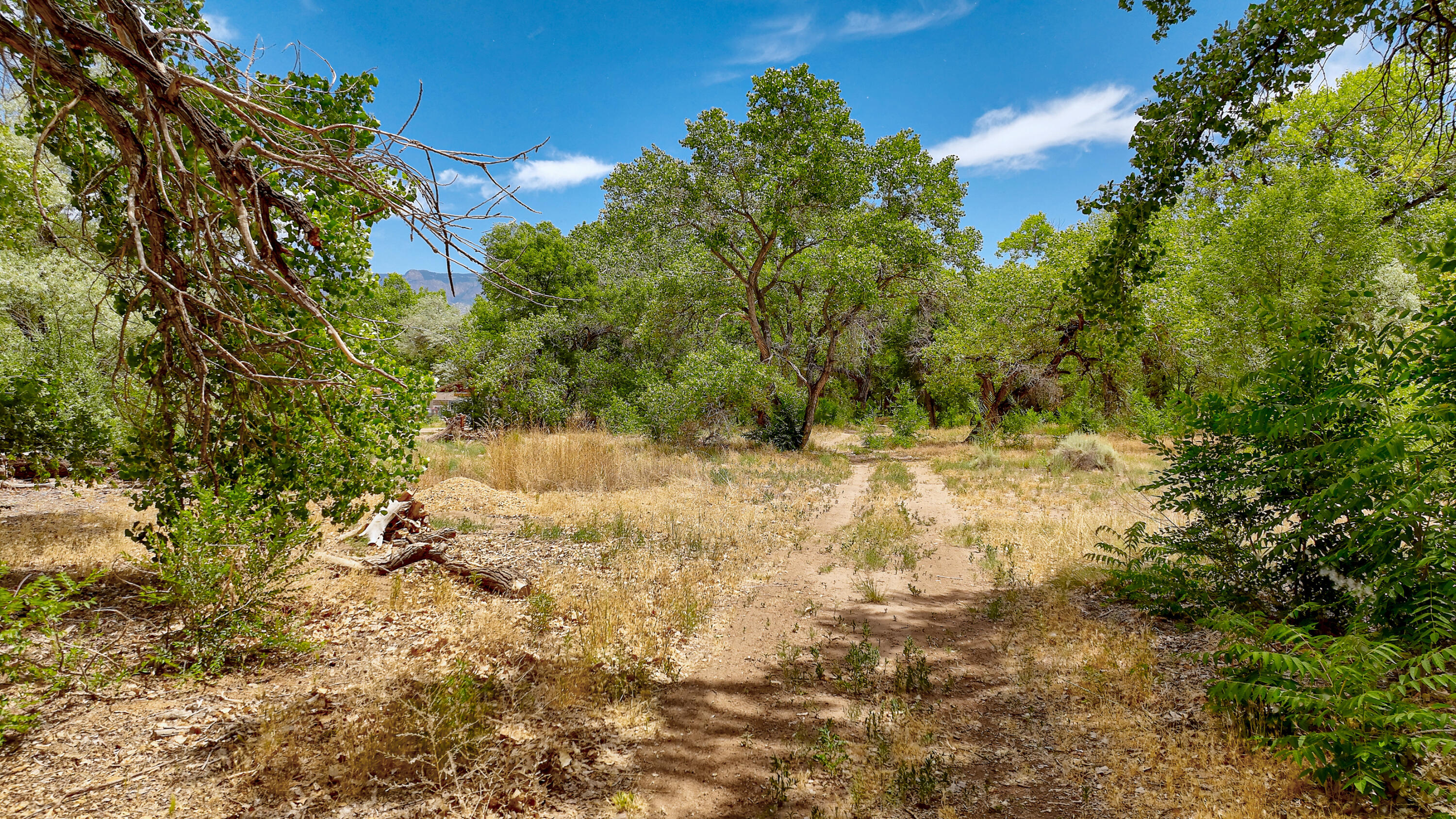 900 Sanchez Road, Corrales, New Mexico image 40