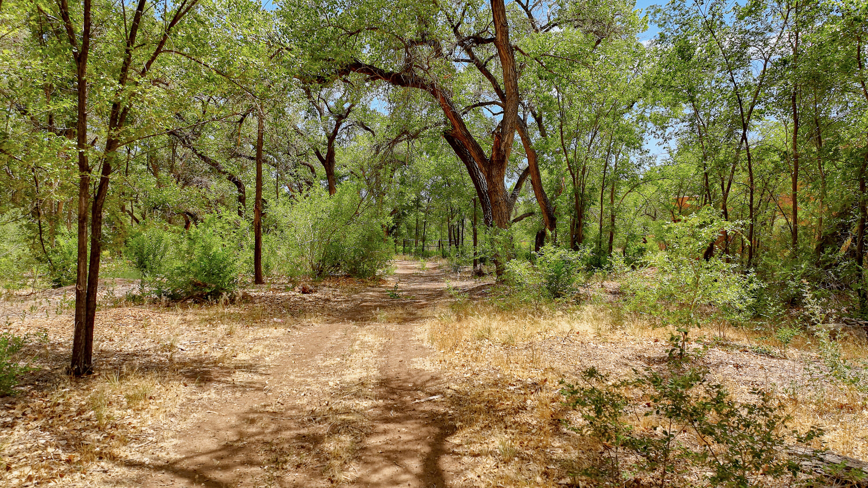 900 Sanchez Road, Corrales, New Mexico image 25