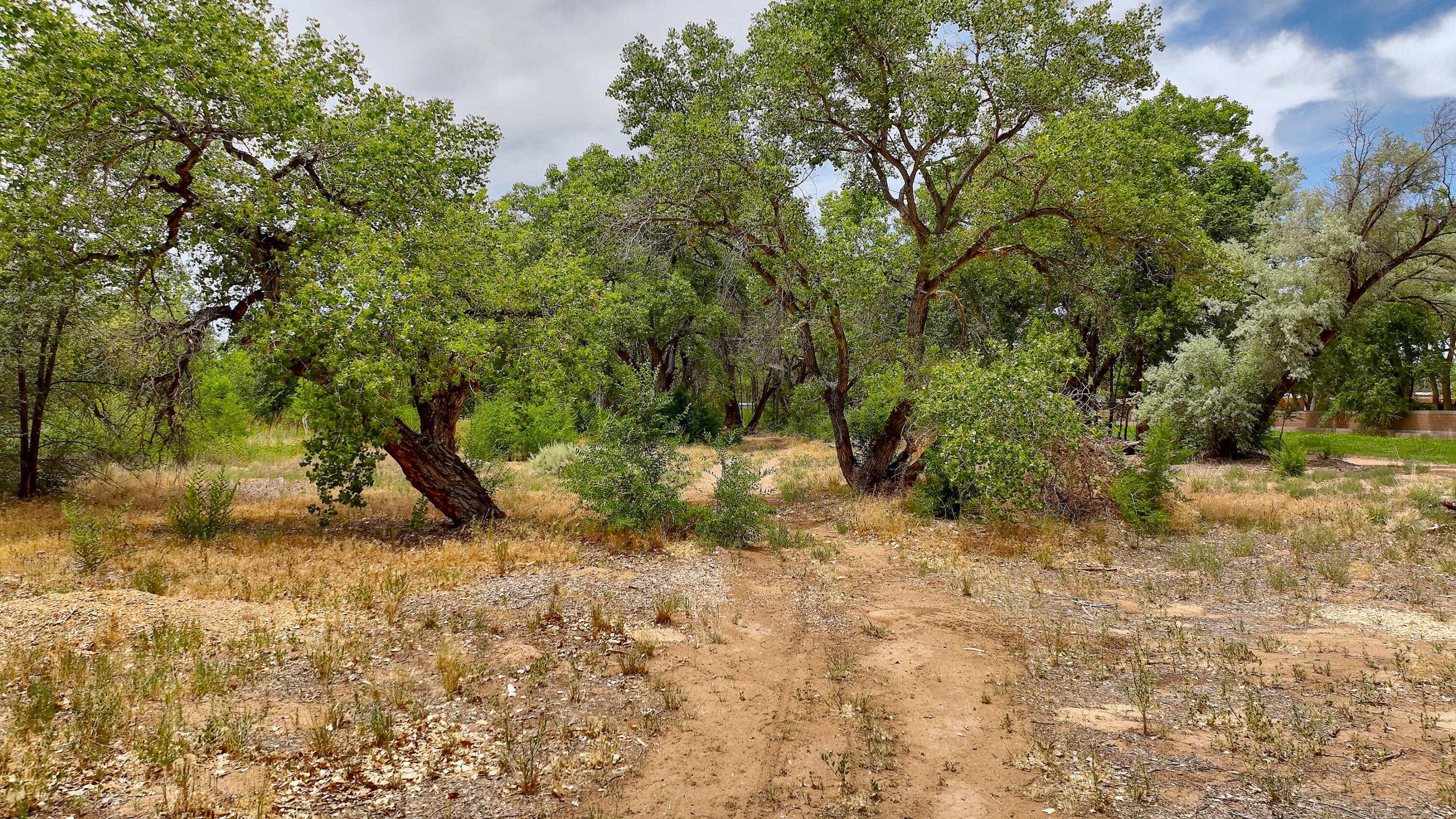 900 Sanchez Road, Corrales, New Mexico image 44