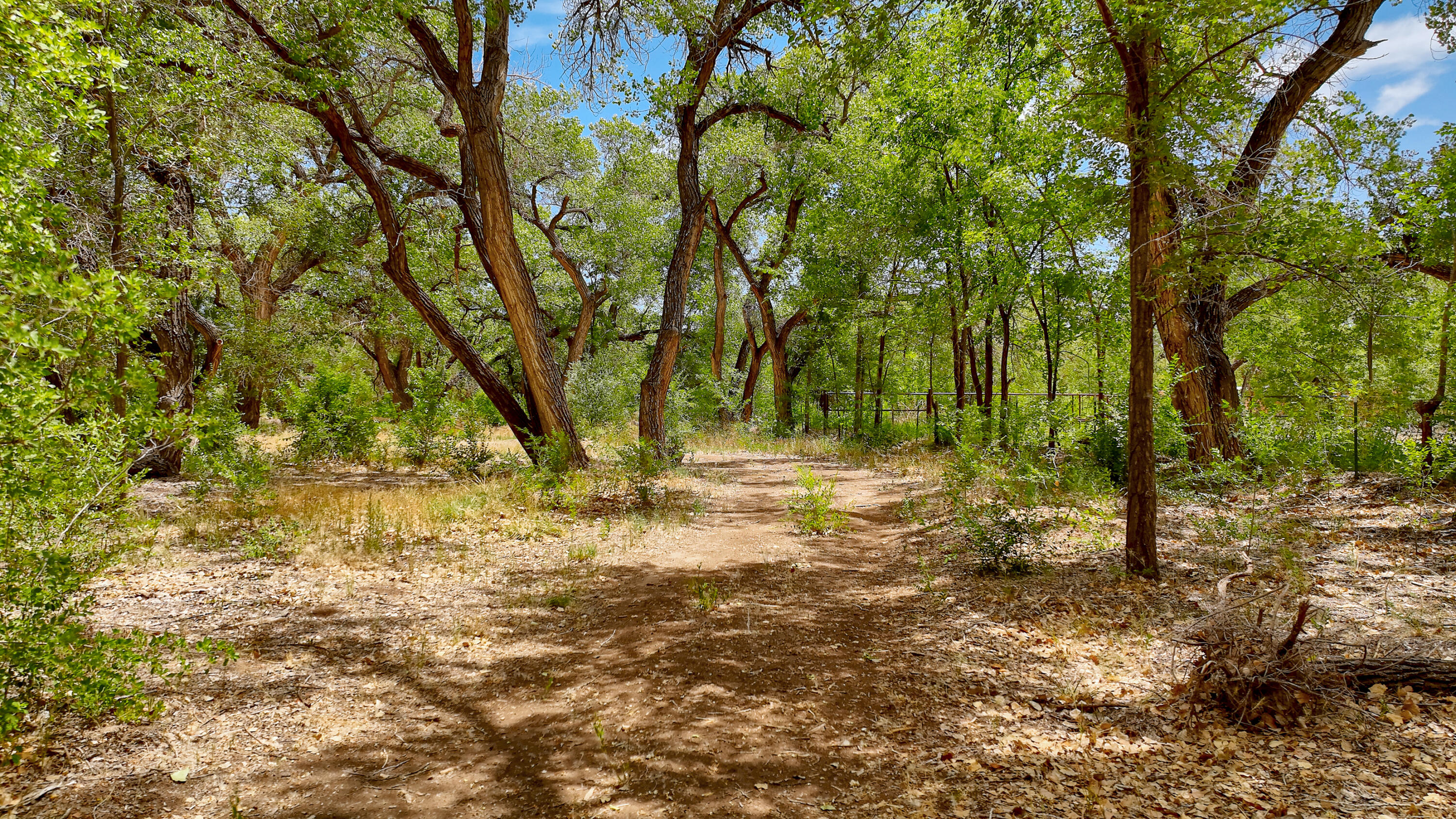 900 Sanchez Road, Corrales, New Mexico image 29