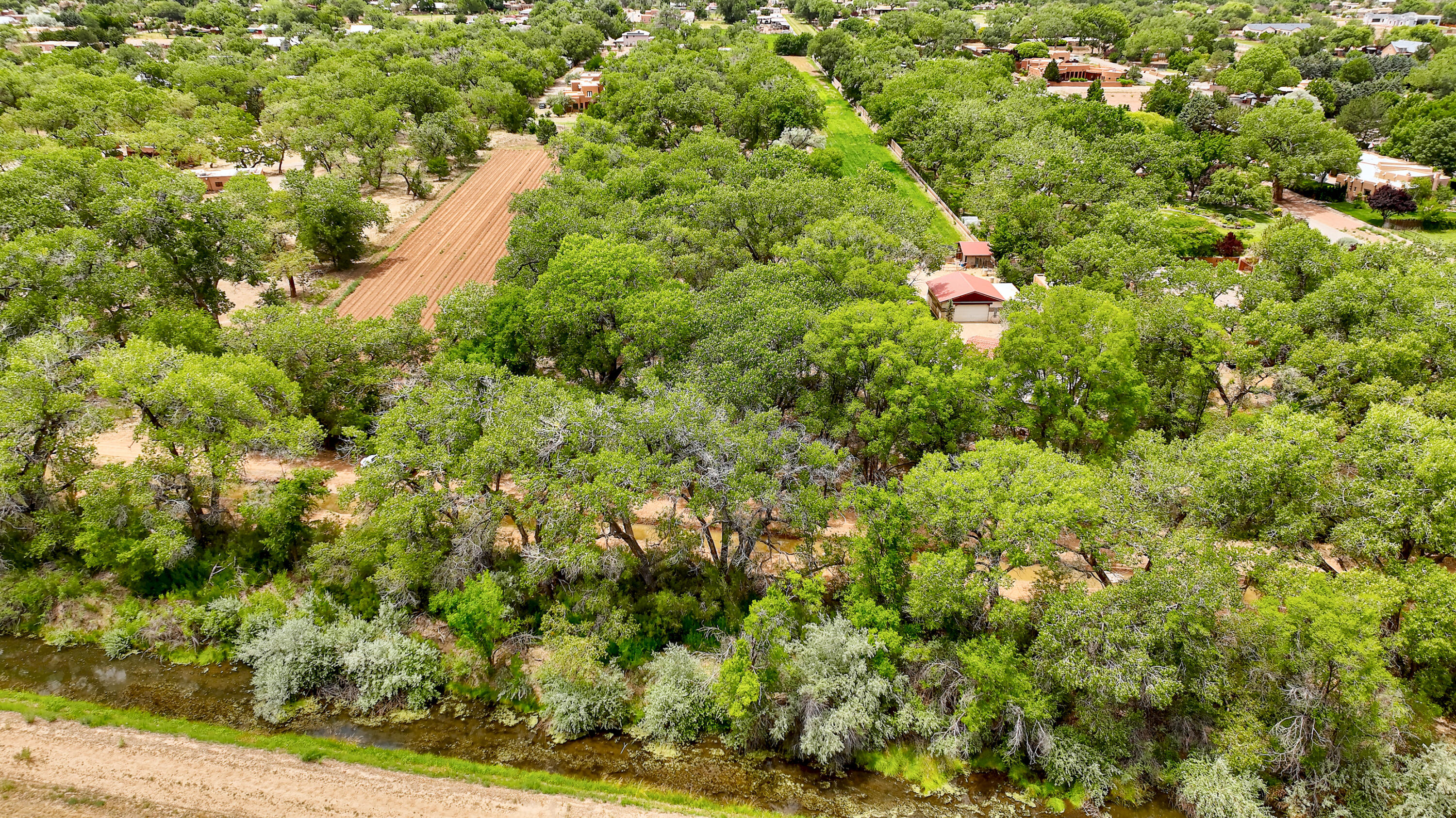 900 Sanchez Road, Corrales, New Mexico image 49