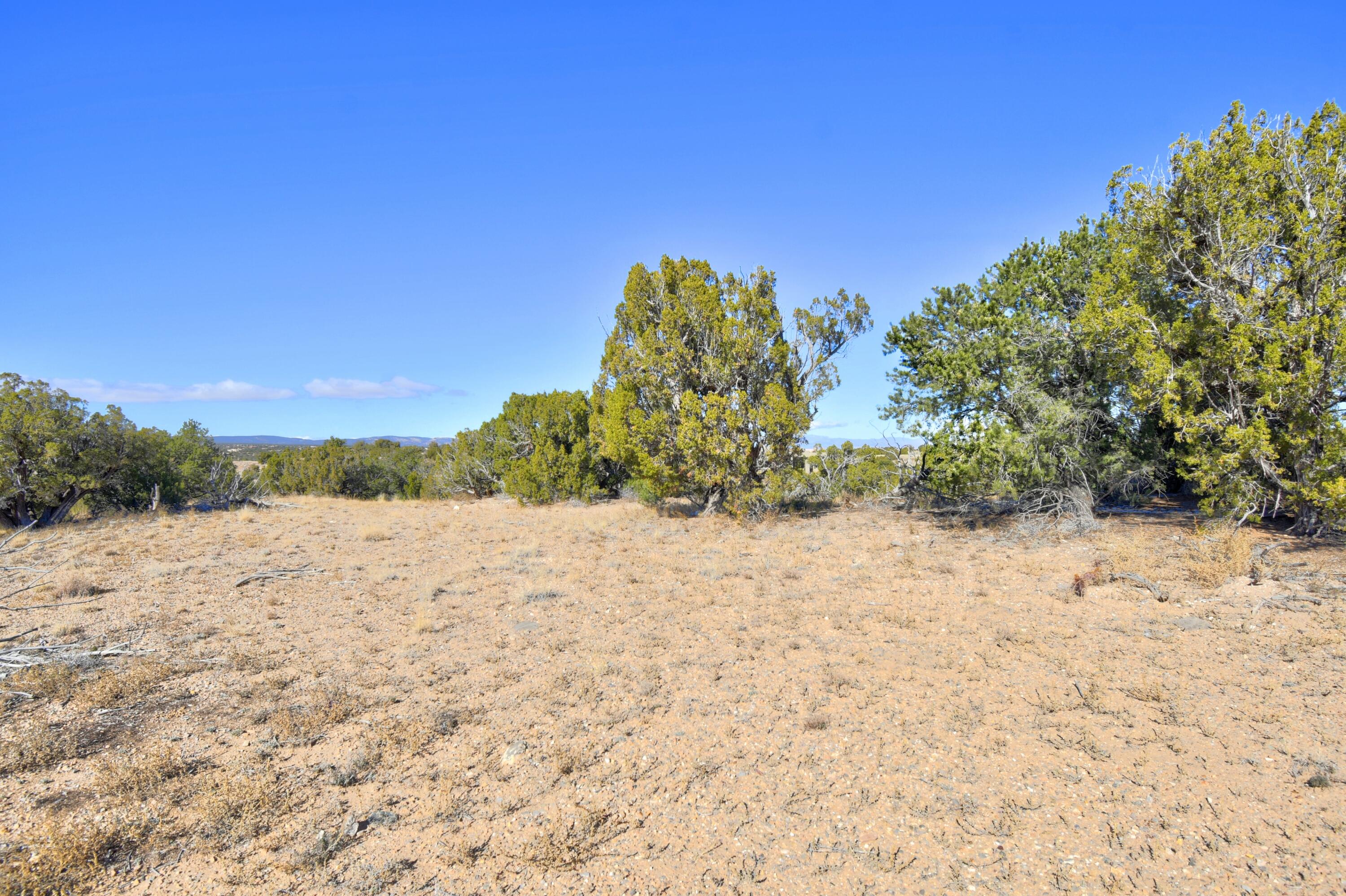 57 Cottonwood Trail