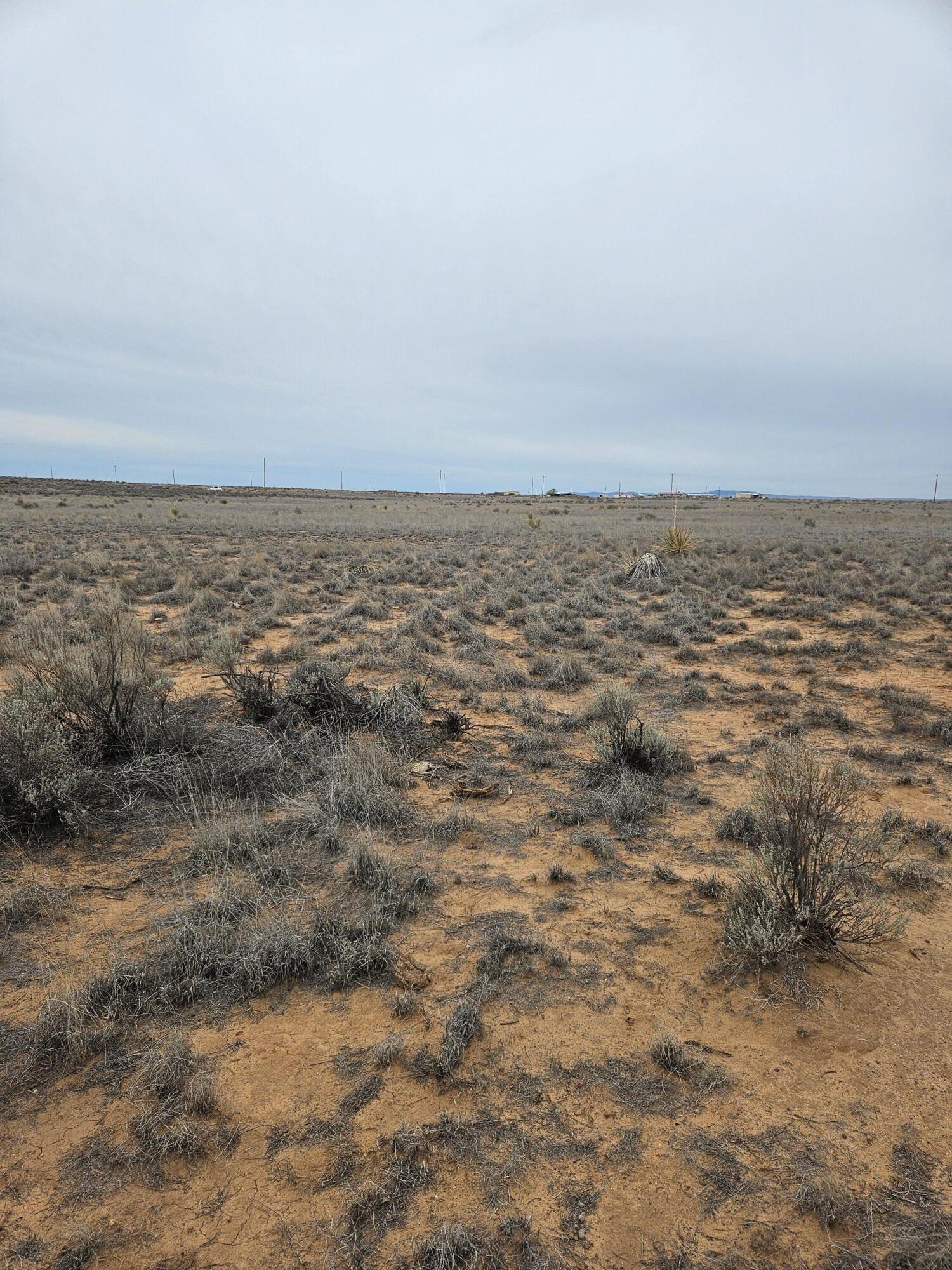 Lluvia Road, Los Lunas, New Mexico image 6