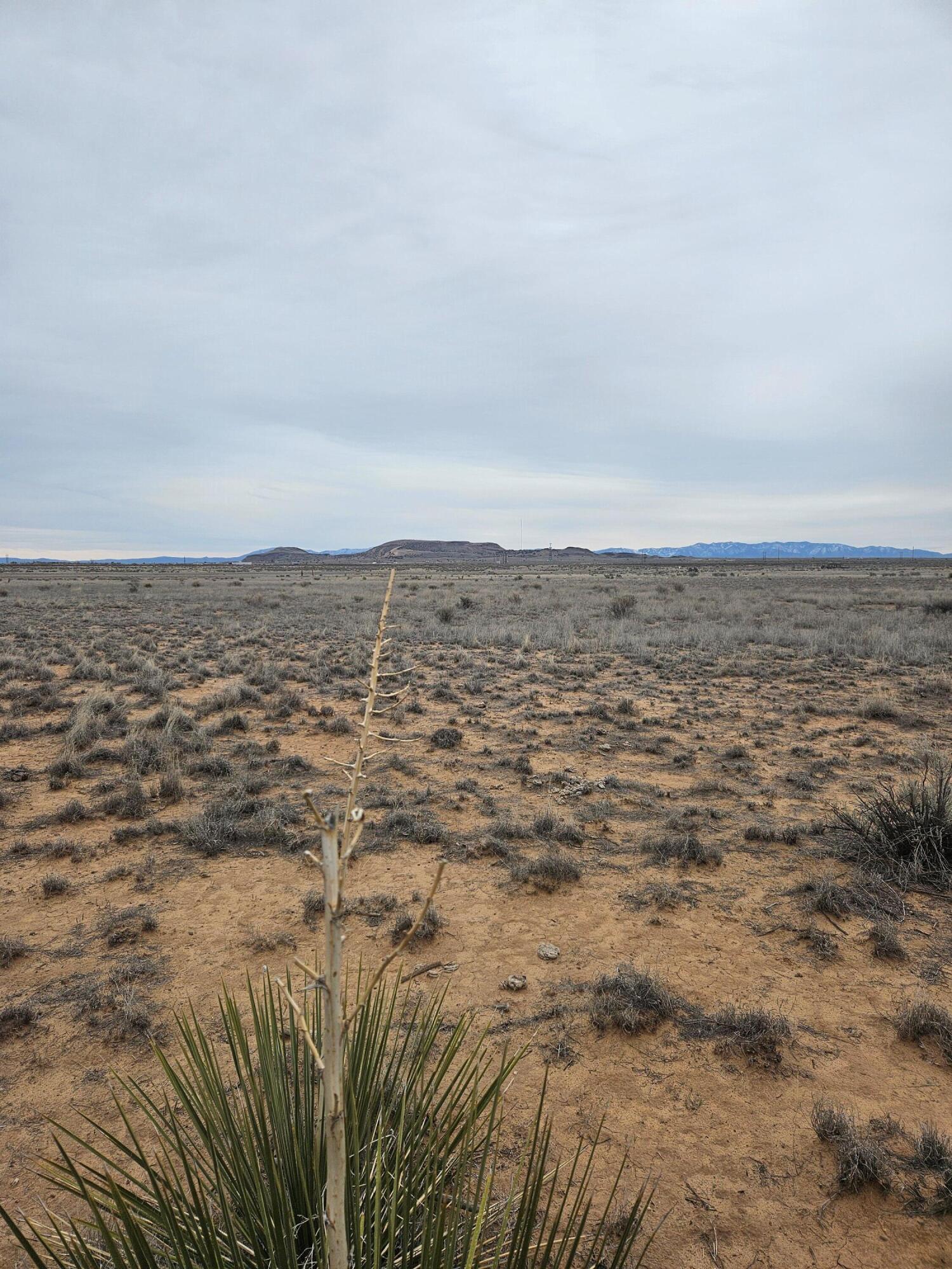 Lluvia Road, Los Lunas, New Mexico image 3