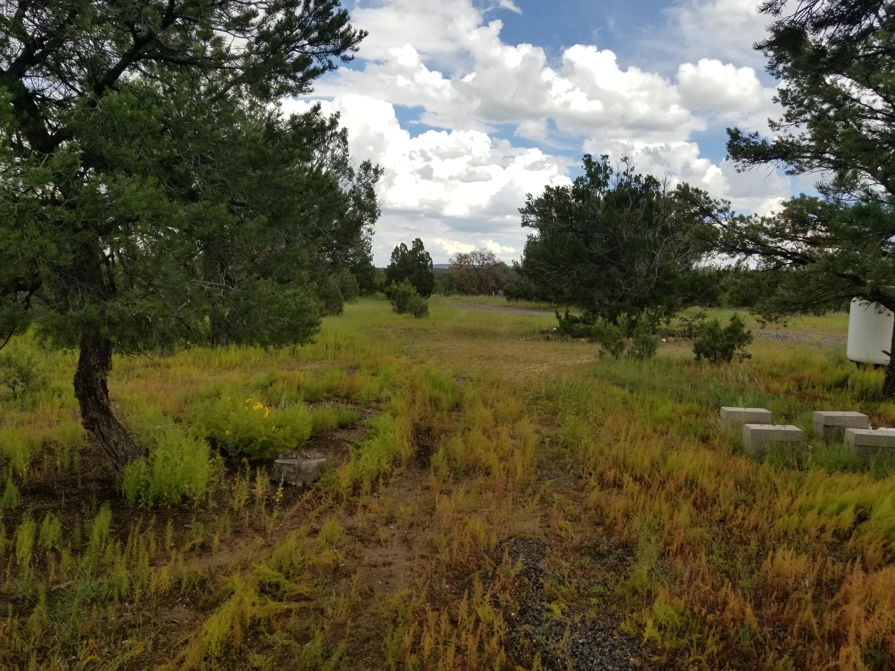 63 Indian Knolls Road, Fence Lake, New Mexico image 6