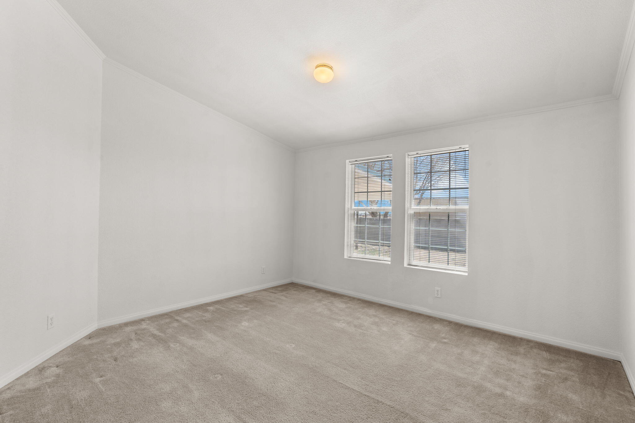 112 Iceplant Road, Estancia, New Mexico image 13